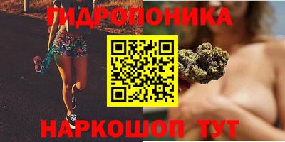 мдпв Славгород