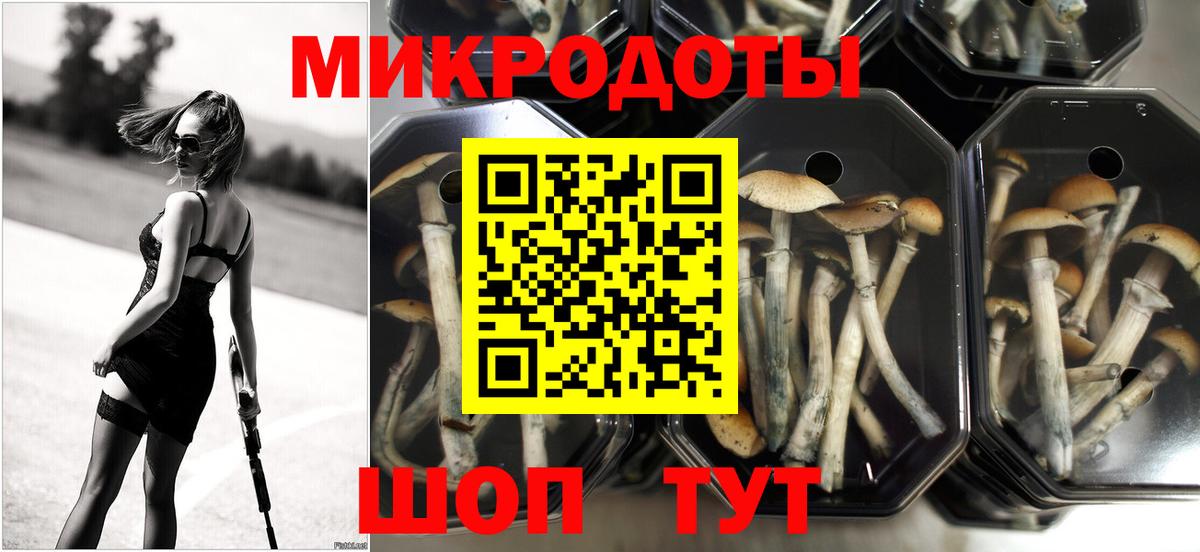 Галлюциногенные грибы Magic Shrooms Можайск