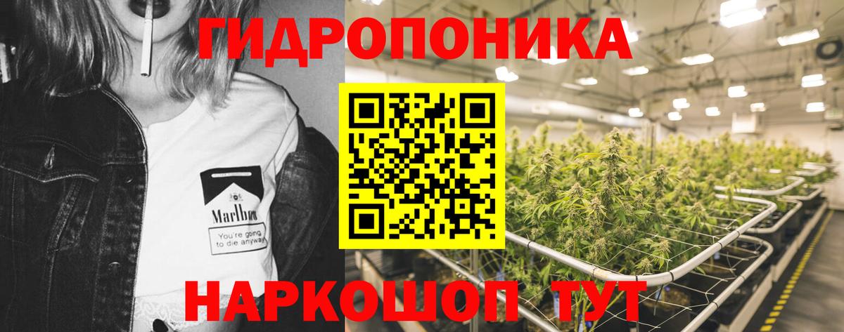 Бошки Шишки план Можайск